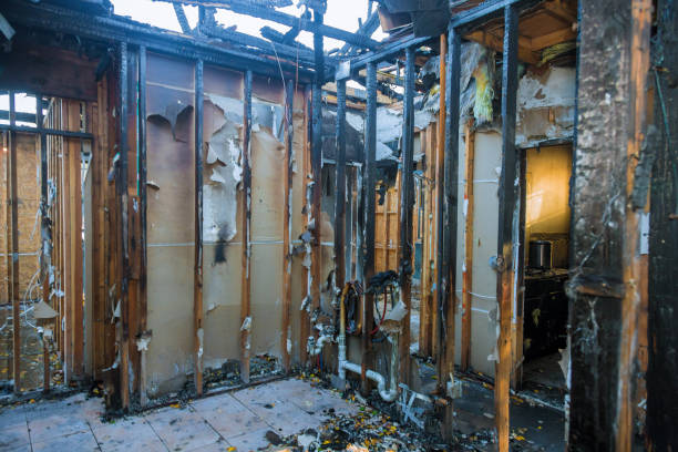 Professional Smoke Damage Removal technician working in Cherry Creek, CO